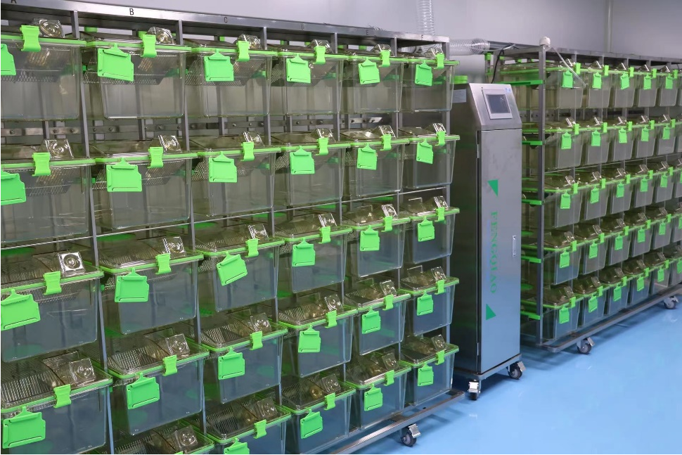 1722652024138605.png image.png