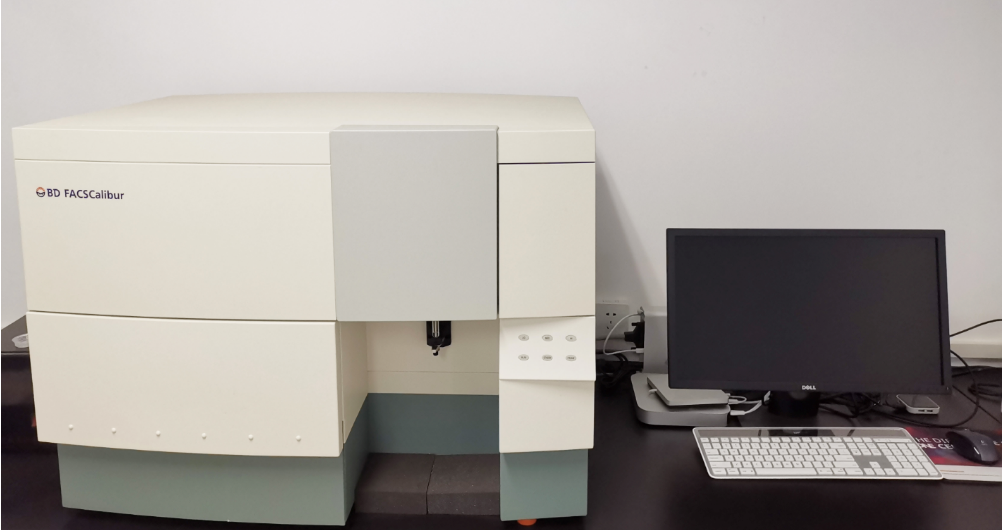 1722652682113500.png image.png